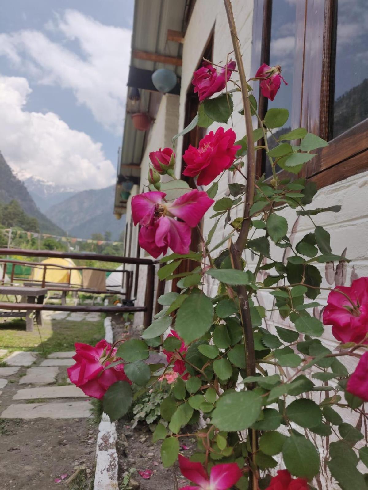 Himtrek Stay Kasol Eksteriør billede