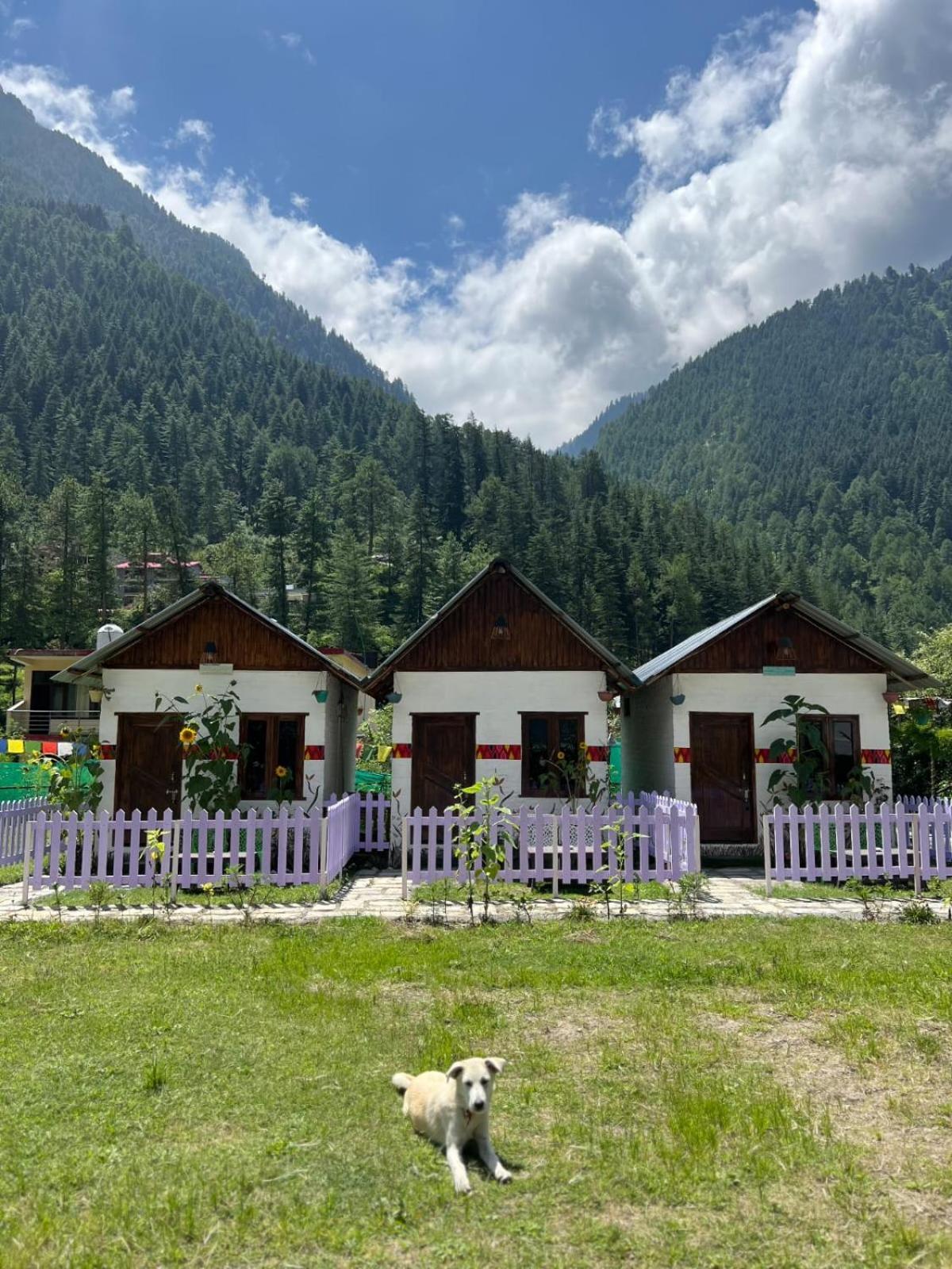 Himtrek Stay Kasol Eksteriør billede