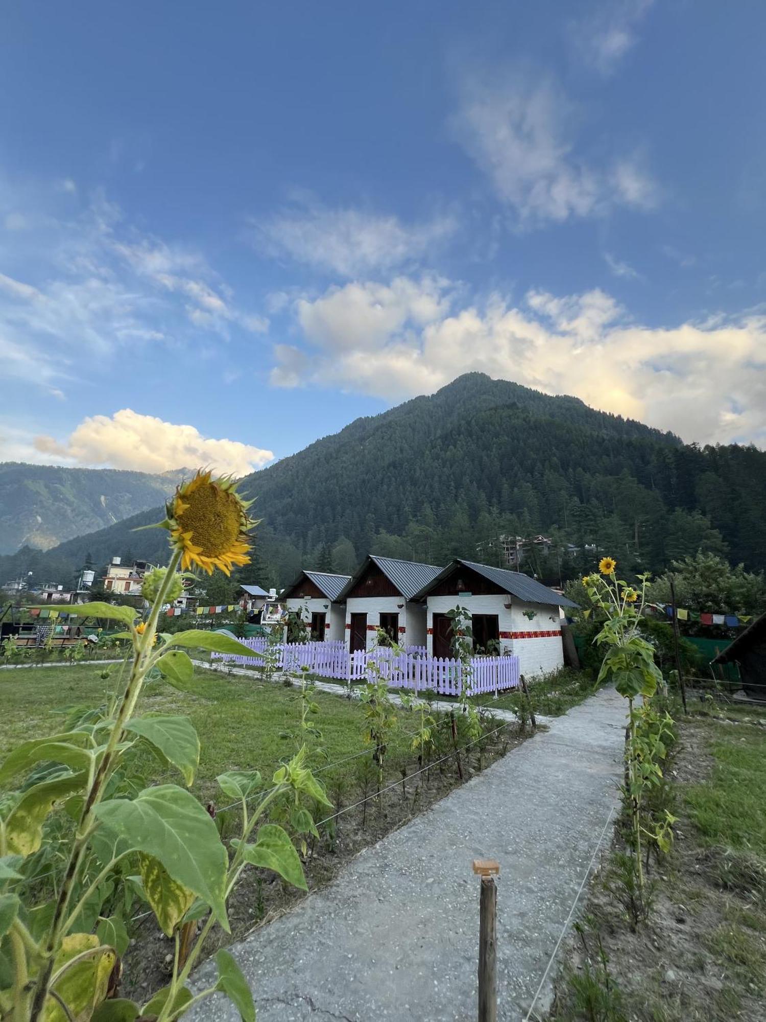 Himtrek Stay Kasol Eksteriør billede